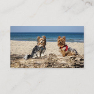 yorkshire-terrier group on beach business card