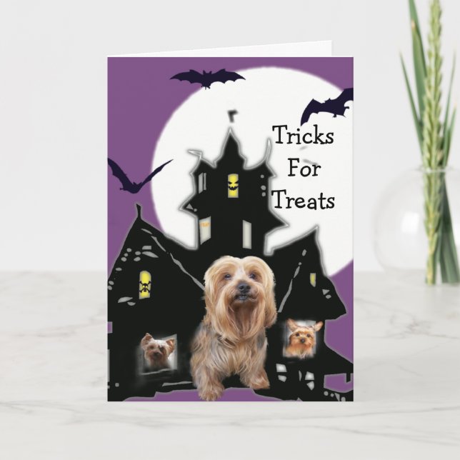 Yorkshire Terrier Halloween Greeting Card (Front)