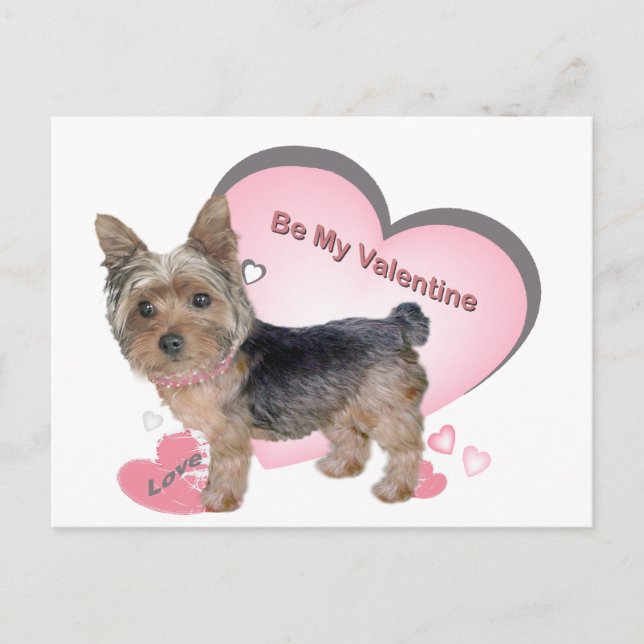 Yorkshire Terrier In Pink Cards (Front)