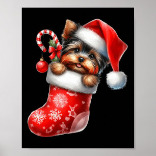 Yorkshire Terrier In Sock Christmas Santa Hat Xmas Poster