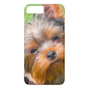 Yorkshire Terrier looking up Case-Mate iPhone Case