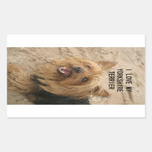yorkshire terrier love w pic black and tan rectangular sticker