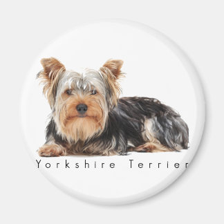 Yorkshire terrier magnet