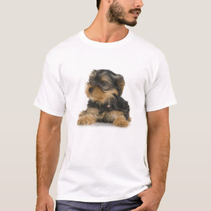 Yorkshire Terrier Mens T-Shirt