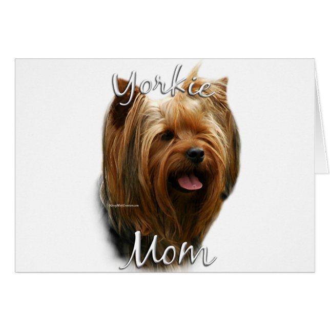 Yorkshire Terrier Mum 2 (Front Horizontal)