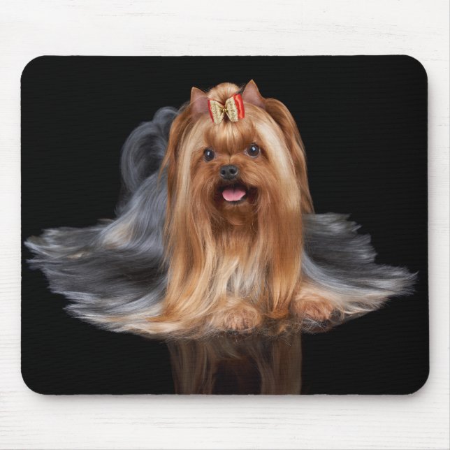 Yorkshire Terrier on black Mouse Pad (Front)