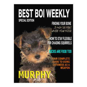 Yorkshire Terrier Parody Magazine Cover  Photo Print