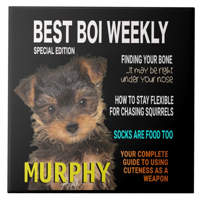 Yorkshire Terrier Parody Magazine Cover Tile (Front)