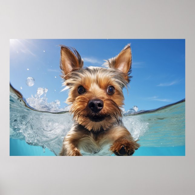 Yorkshire Terrier Pet Dog Animal Fun  Poster (Front)