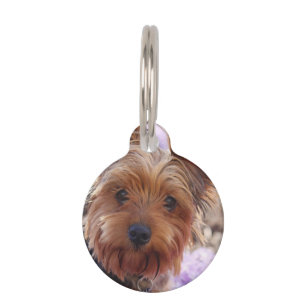 Yorkshire Terrier Pet Tag