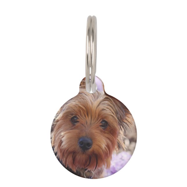 Yorkshire Terrier Pet Tag (Front)