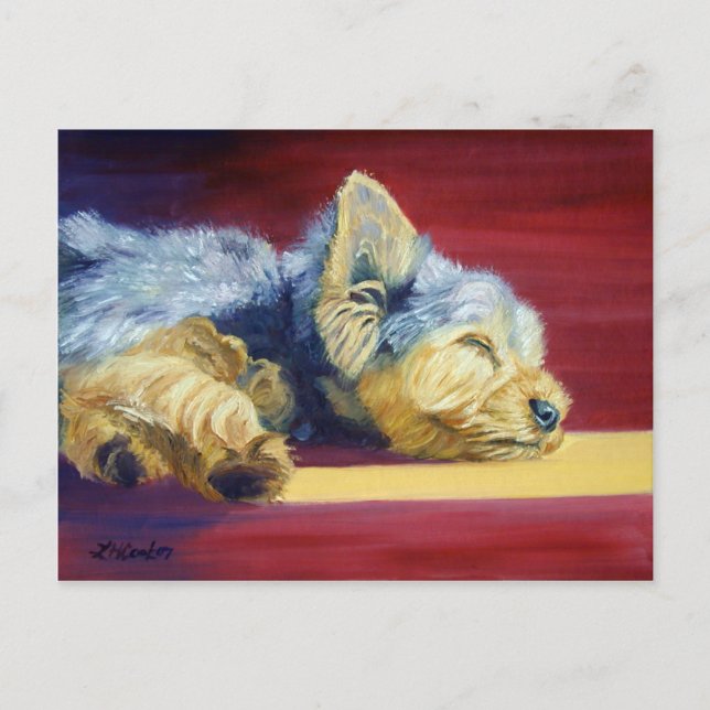 Yorkshire Terrier Postcard (Front)