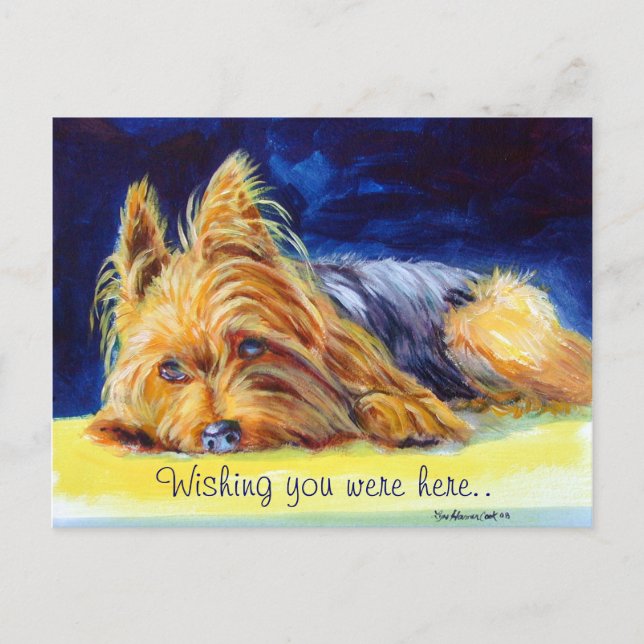 Yorkshire Terrier Postcards (Front)