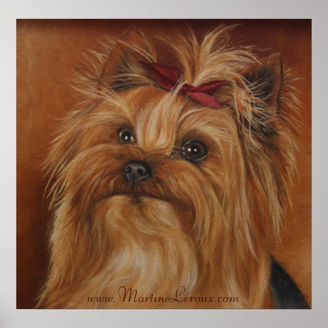 Yorkshire Terrier Poster (Front)