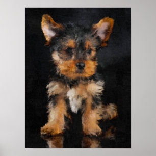 Yorkshire Terrier Poster