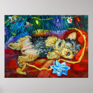 Yorkshire Terrier Poster