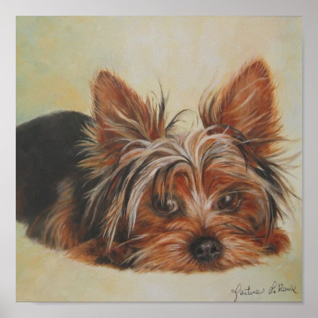 Yorkshire Terrier Poster (Front)