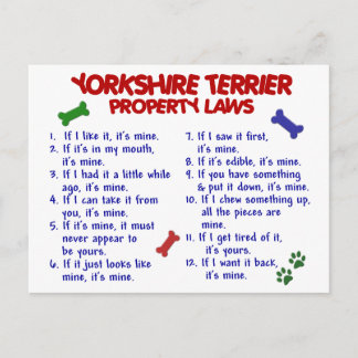 YORKSHIRE TERRIER Property Laws 2 Yorkie Postcard