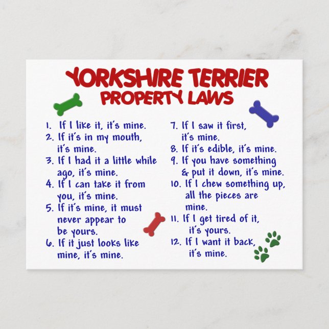 YORKSHIRE TERRIER Property Laws 2 Yorkie Postcard (Front)