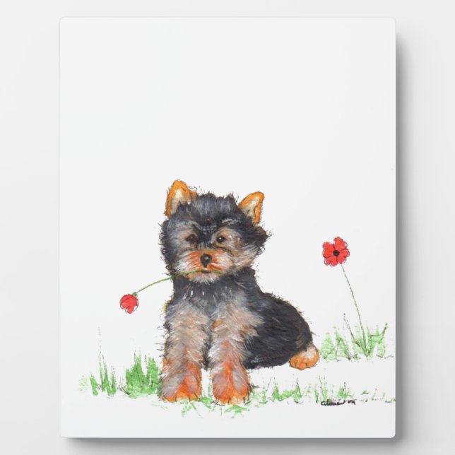 Yorkshire terrier pup plaque (Front)
