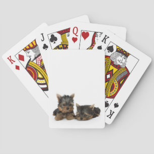Yorkshire Terrier Puppies Playing Cards