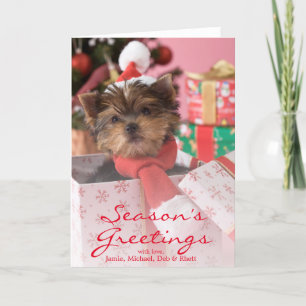 Yorkshire Terrier Puppy and Christmas 2 Holiday Card