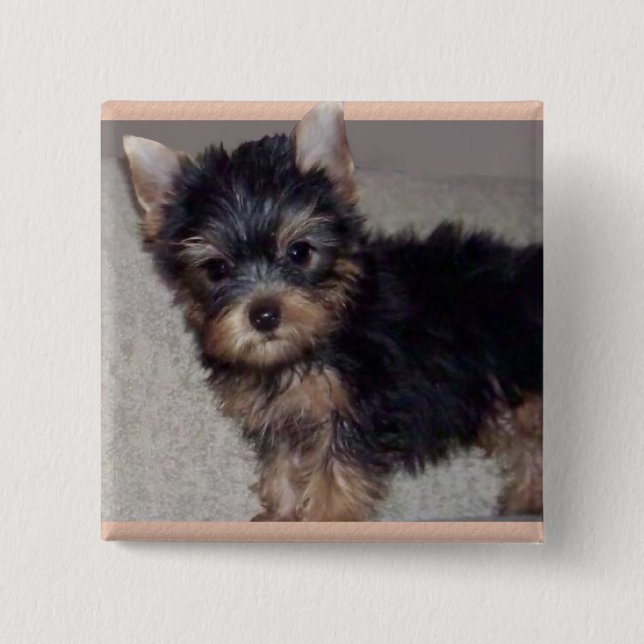 Yorkshire Terrier puppy button (Front)