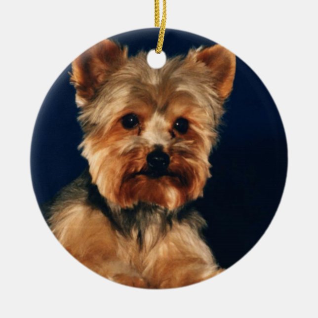 Yorkshire Terrier Puppy Ceramic Tree Decoration (Front)