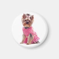 Yorkshire Terrier Puppy Dog in a Pink Dress Magnet