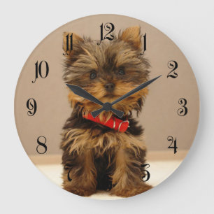 Yorkshire Terrier Puppy Dog Large Clock