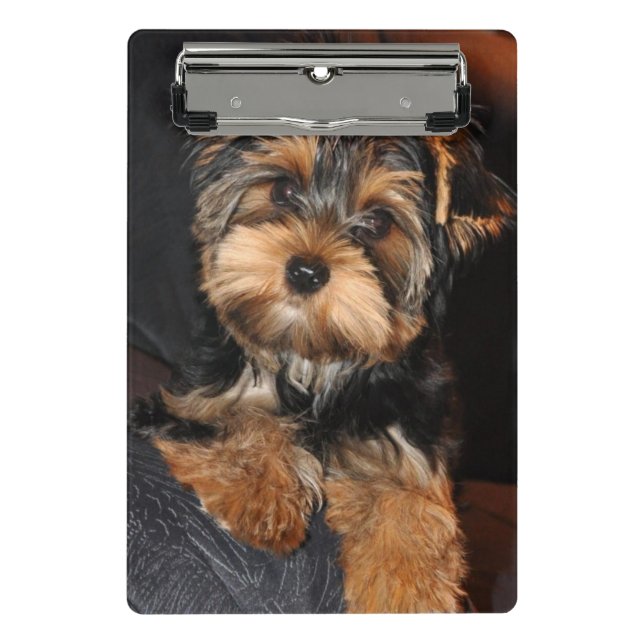 Yorkshire Terrier Puppy Dog Mini Clipboard (Front)