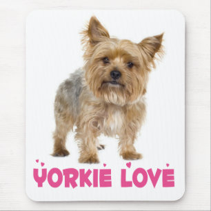 Yorkshire Terrier Puppy Dog Pink Mouse Pad