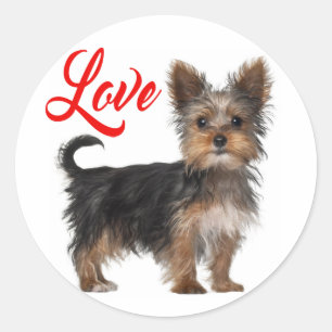 Yorkshire Terrier Puppy Dog Red Love Classic Round Sticker