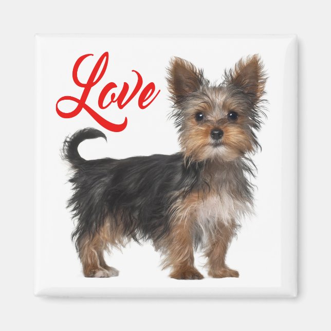 Yorkshire Terrier Puppy Dog Red Love Magnet (Front)