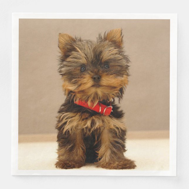 Yorkshire Terrier Puppy Napkin (Front)
