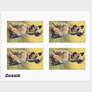 yorkshire-terrier-sitting up rectangular sticker