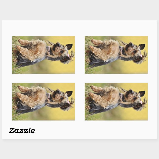 yorkshire-terrier-sitting up rectangular sticker (Sheet)