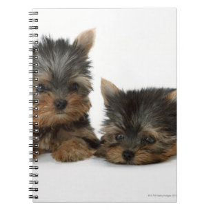 Yorkshire Terrier Spiral Notebook