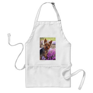 Yorkshire Terrier Standard Apron