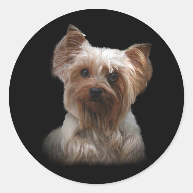 Yorkshire Terrier Sticker (Front)