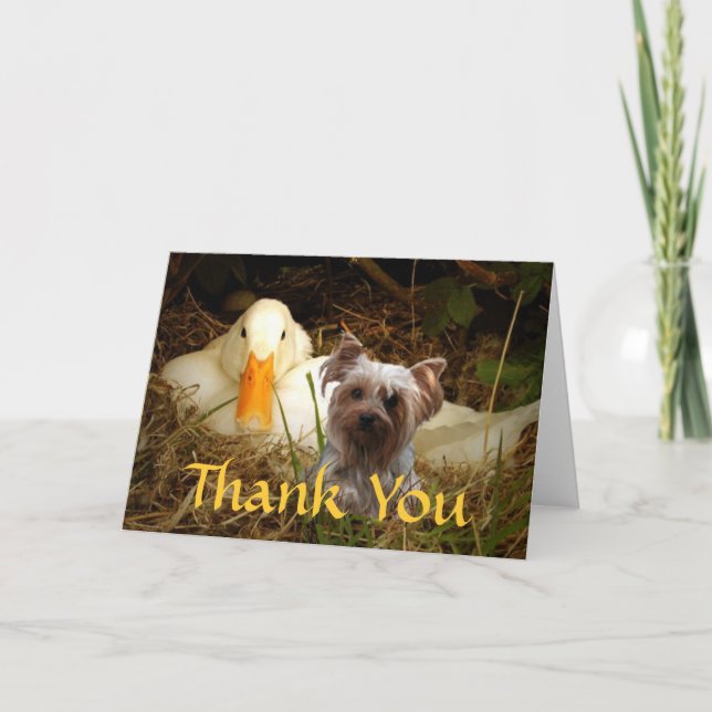 Yorkshire Terrier Thank You Card With Duck (Front)