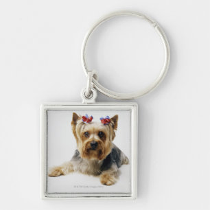 Yorkshire terrier wearing red bows key ring