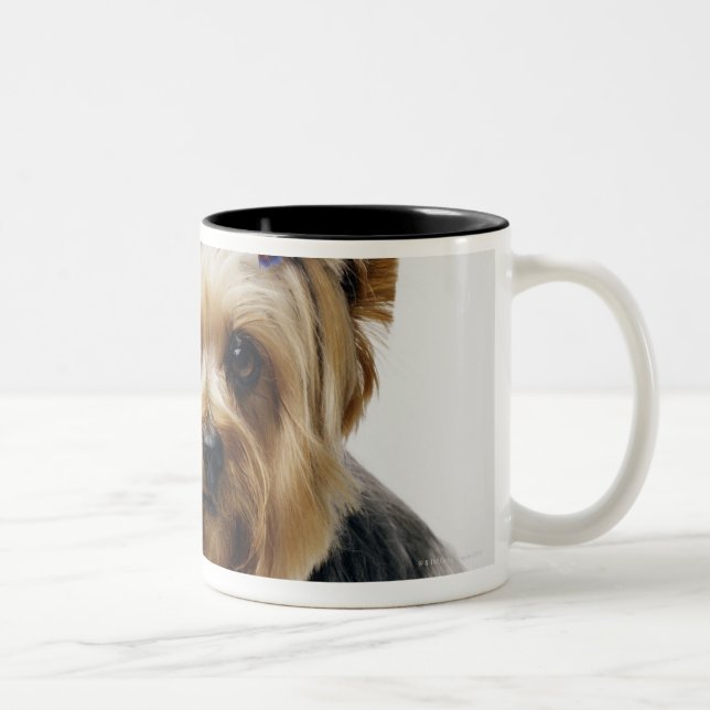 Yorkshire terrier wearing red bows Two-Tone coffee mug (Right)