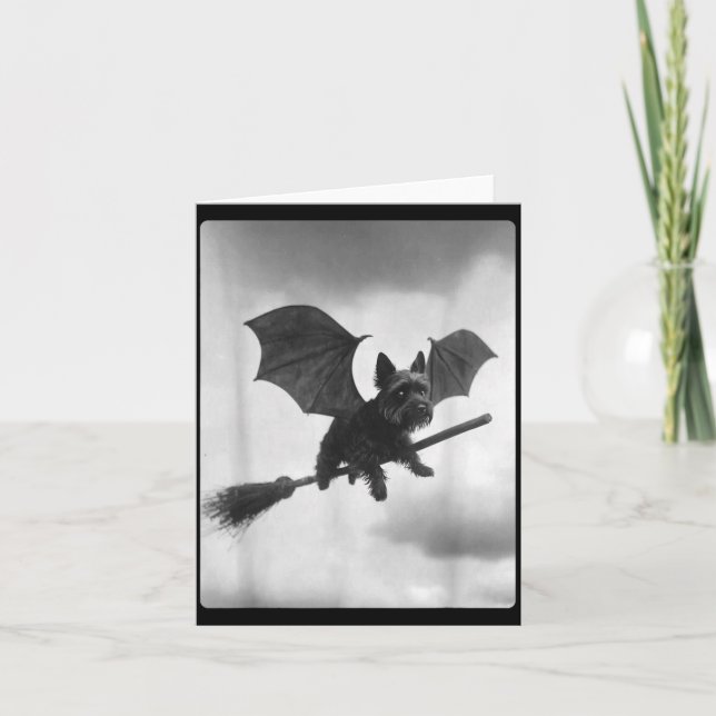 Yorkshire Terrier Witch Broom Bat Wings Spooky Card (Front)
