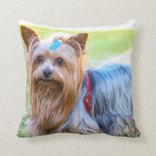 Yorkshire Terrier Yorkie Favourite Breed Cushion