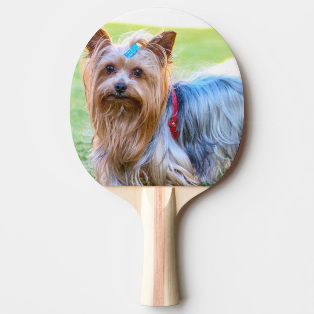 Yorkshire Terrier Yorkie Favourite Breed Ping Pong Paddle (Front)