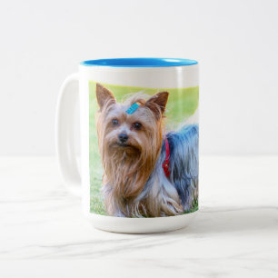 Yorkshire Terrier Yorkie Favourite Breed Two-Tone Coffee Mug