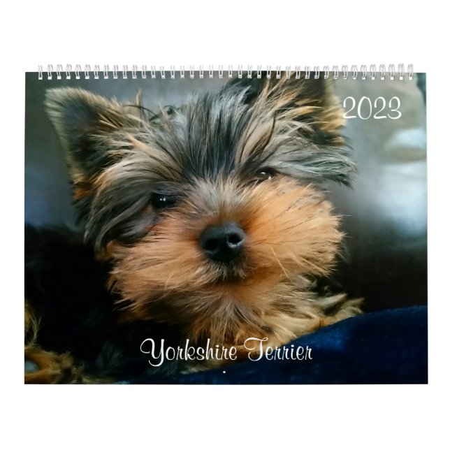 Yorkshire Terrier Yorkies  2023 Calendar (Cover)