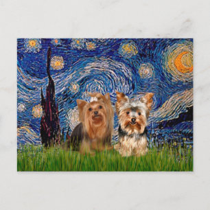 Yorkshire Terriers (7and17) - Starry Night Postcard