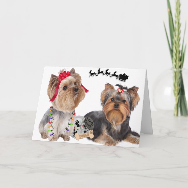 Yorkshire Terriers Believe  In Santa Cards (Front)